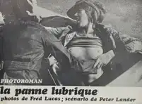 Photoroman la panne lubrique