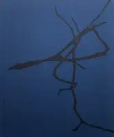 FALSE FRIENDS (SIGNED)