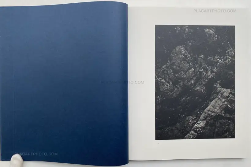 FALSE FRIENDS (SIGNED)