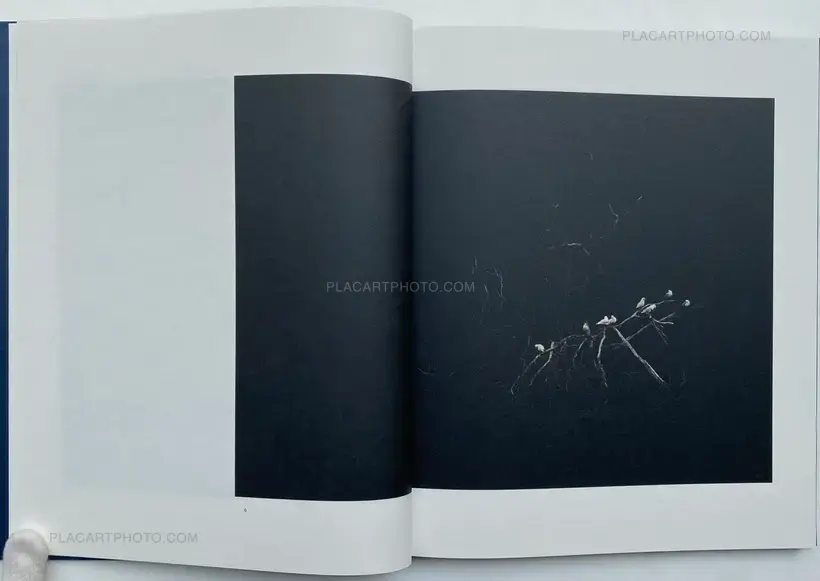 FALSE FRIENDS (SIGNED)