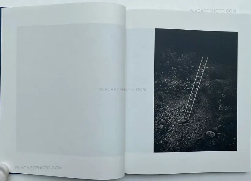 FALSE FRIENDS (SIGNED)