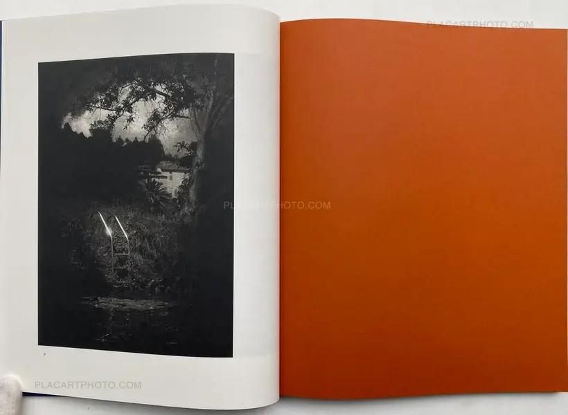 FALSE FRIENDS (SIGNED)