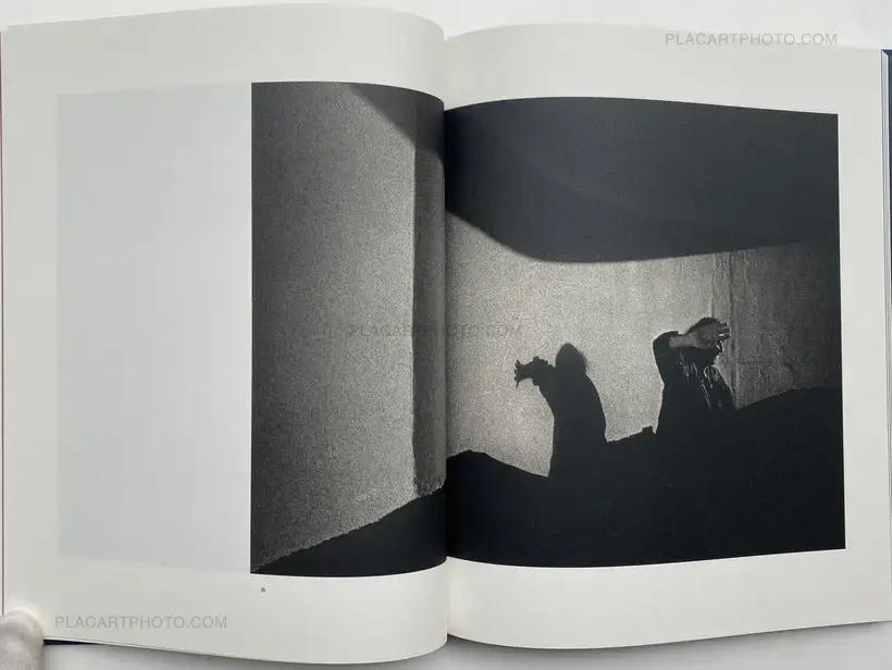 FALSE FRIENDS (SIGNED)