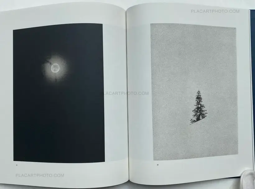 FALSE FRIENDS (SIGNED)