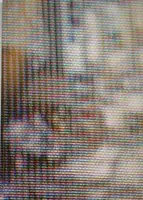 Beautiful Pig (NUMBERED AND SIGNED)