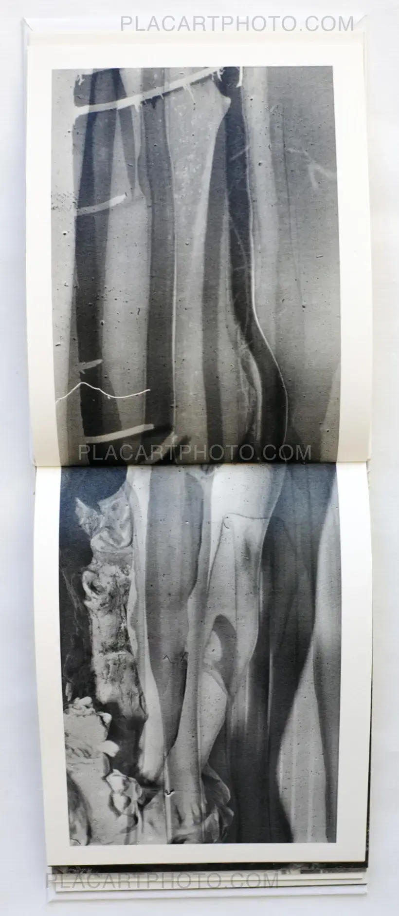 Teikai (Wandering at midnight) - Collector's edition (Signed)