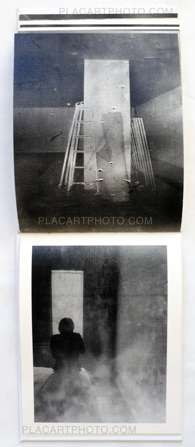 Teikai (Wandering at midnight) - Collector's edition (Signed)