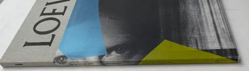 LOEWE Spring Summer 2015 Womenswear