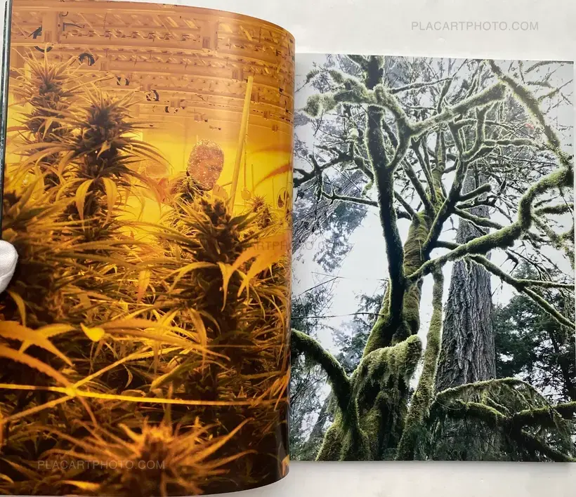 System Supplement Juergen Teller