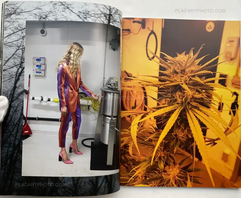 System Supplement Juergen Teller