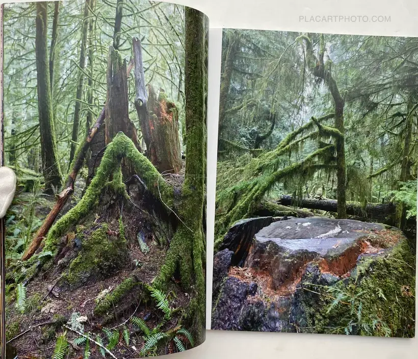 System Supplement Juergen Teller