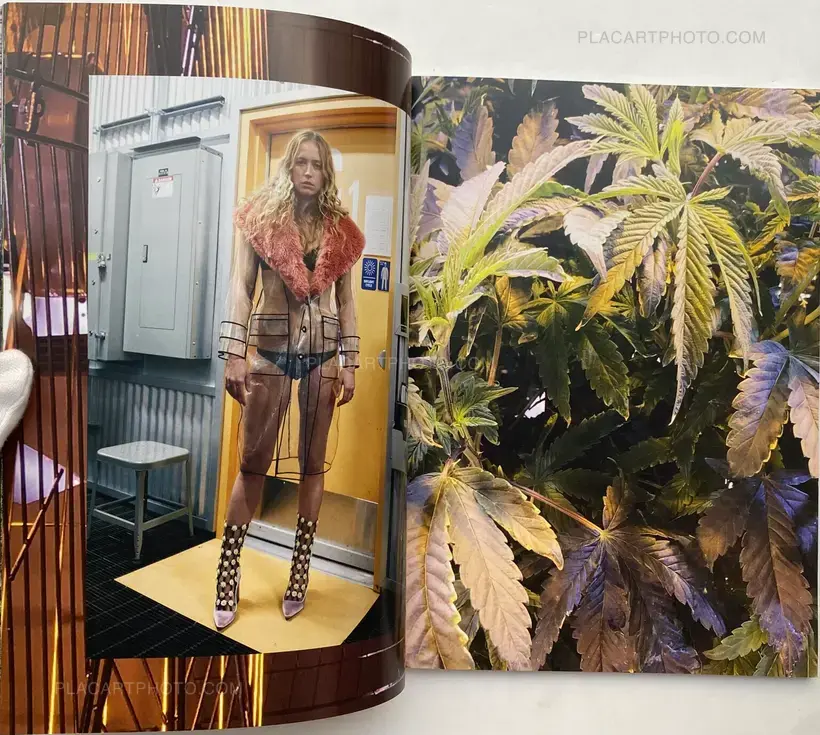 System Supplement Juergen Teller