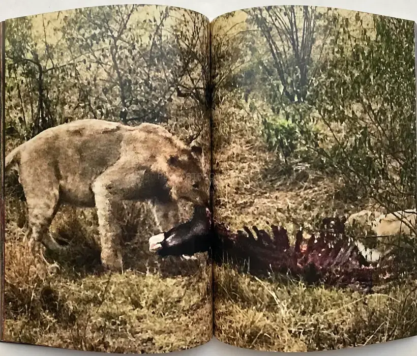 System Supplement Juergen Teller