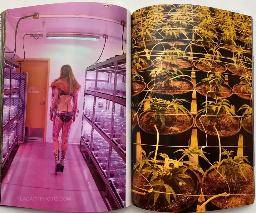 System Supplement Juergen Teller