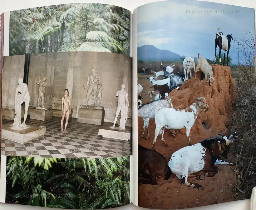 System Supplement Juergen Teller