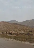 Digital Building (numbered)