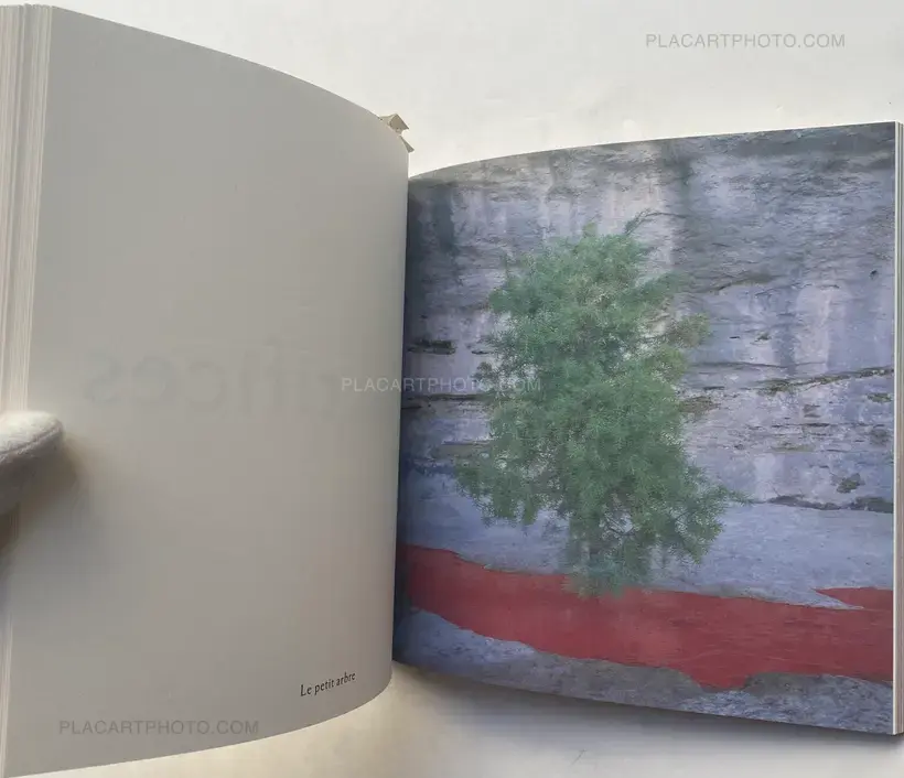 Les idoles et les sacrifices