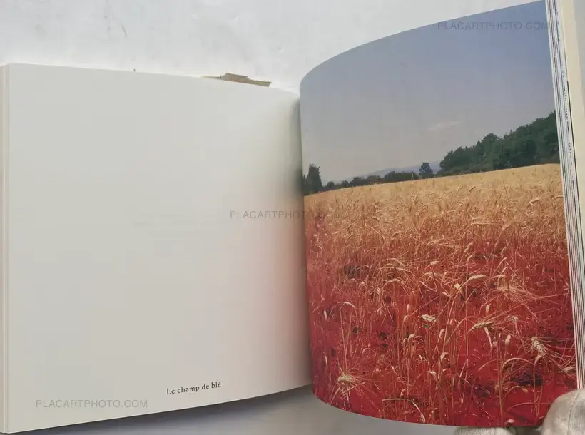 Les idoles et les sacrifices