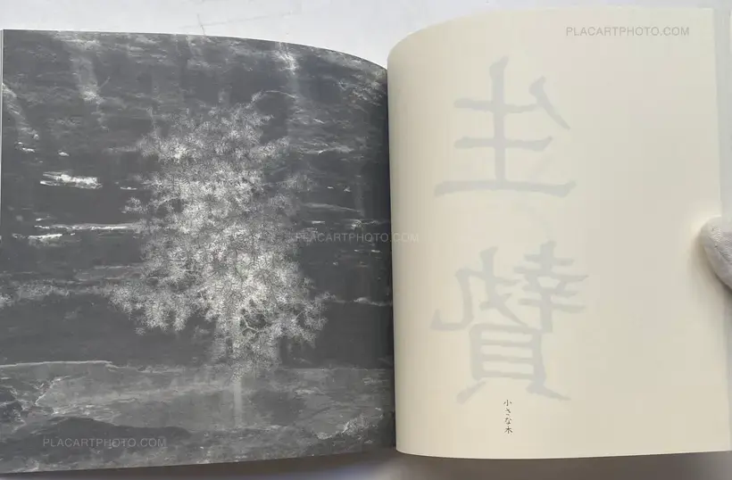 Les idoles et les sacrifices