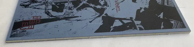 CASCADA (SIGNED AND NUMBERED, edt of 100)