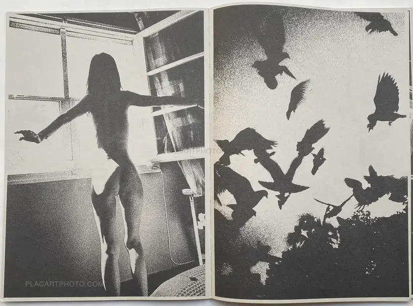 CASCADA (SIGNED AND NUMBERED, edt of 100)