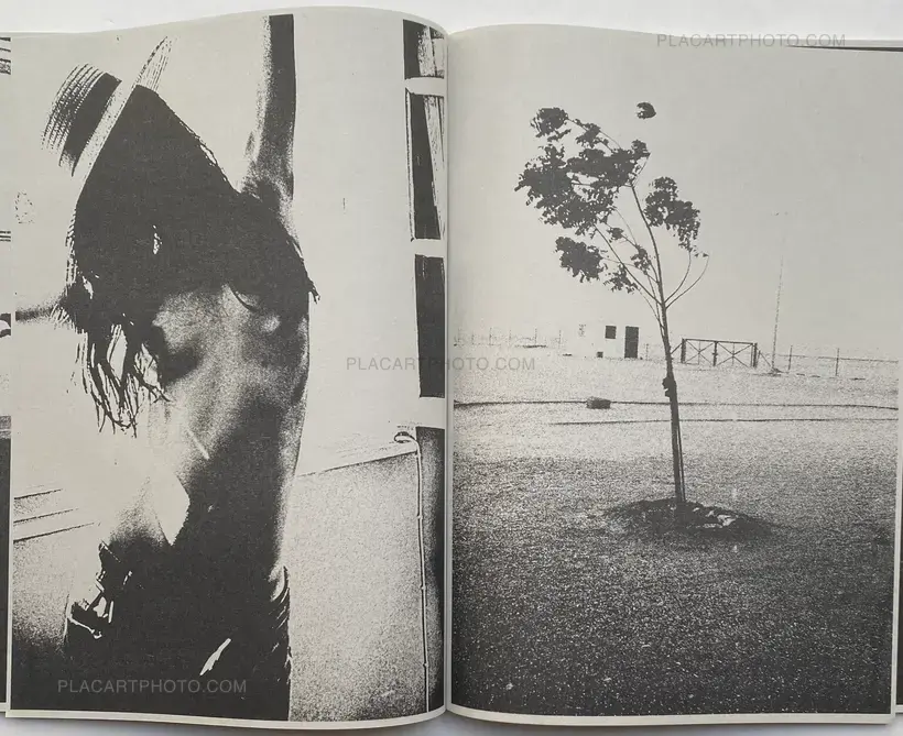 CASCADA (SIGNED AND NUMBERED, edt of 100)