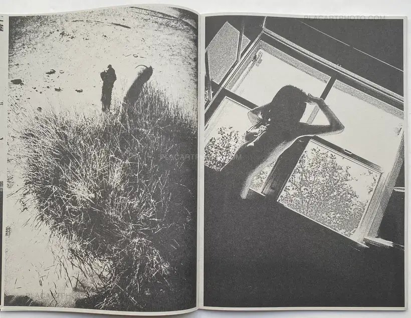 CASCADA (SIGNED AND NUMBERED, edt of 100)