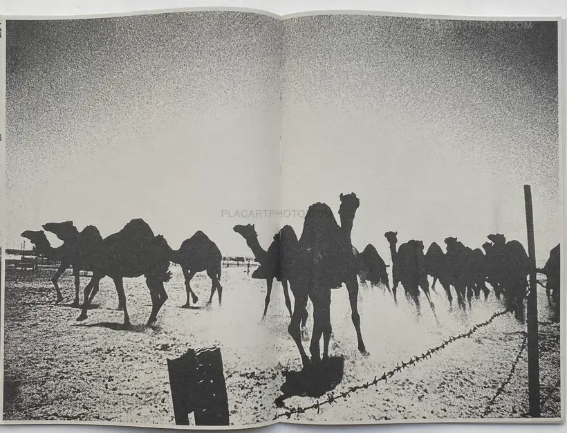 CASCADA (SIGNED AND NUMBERED, edt of 100)