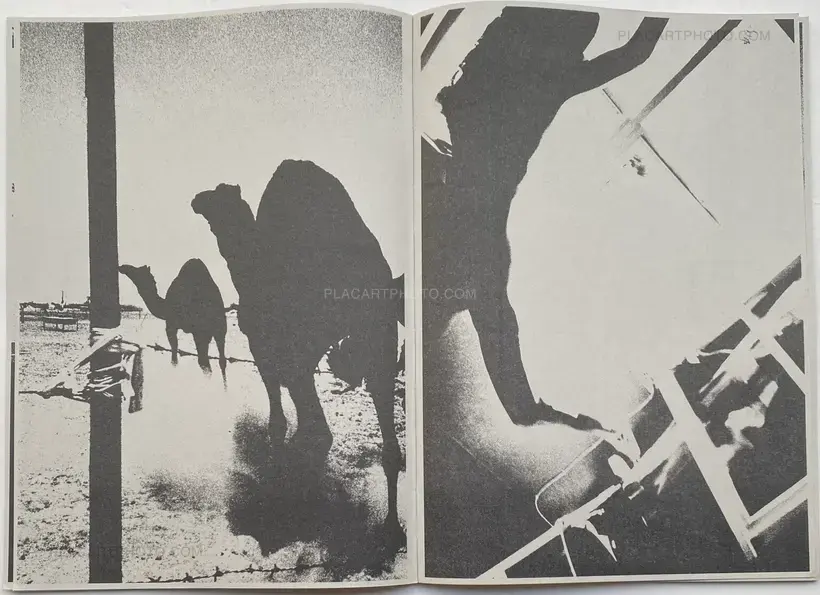 CASCADA (SIGNED AND NUMBERED, edt of 100)