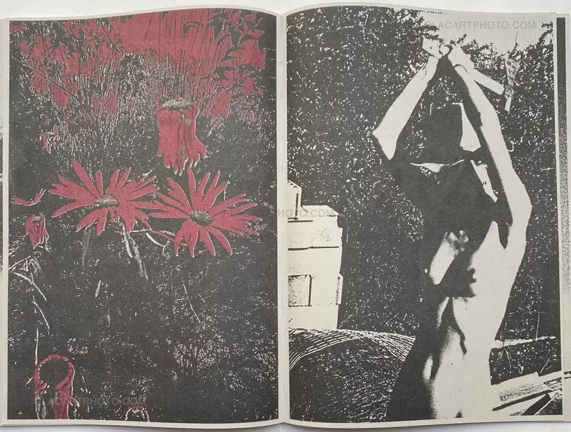 CASCADA (SIGNED AND NUMBERED, edt of 100)