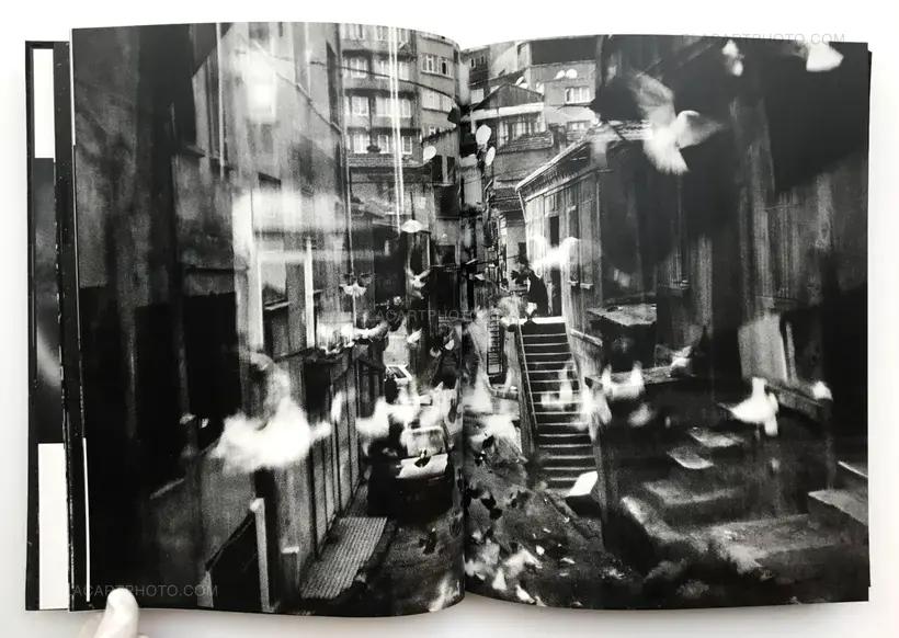 Good dog (SIGNED AND DEDICATED)