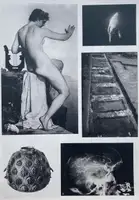 INVENTAIRE ALPHA (SIGNED AND NUMBERED WITH AN ORIGINAL PLATE)