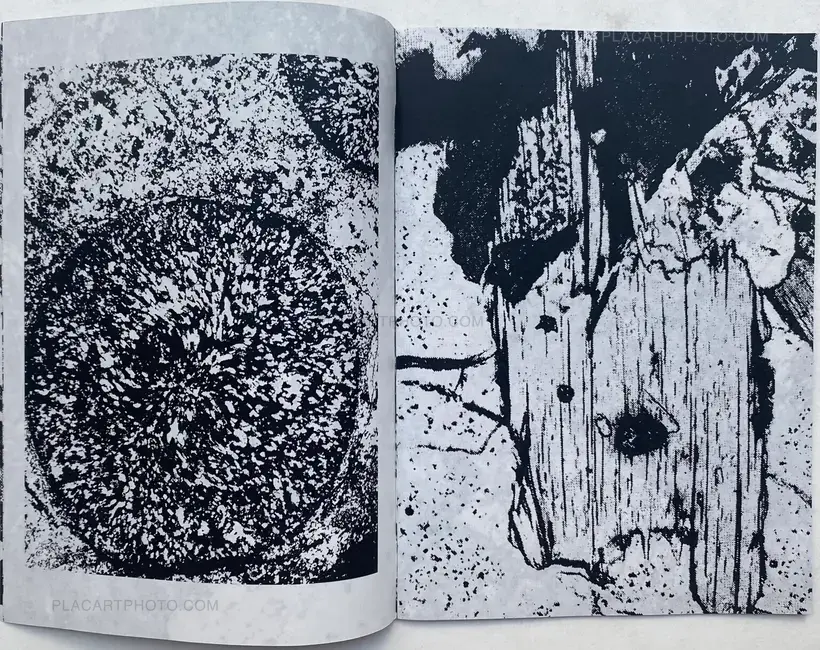 METAMORPHISME (SIGNED)