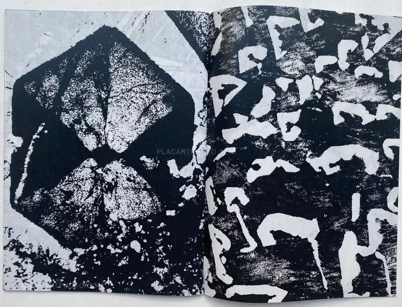 METAMORPHISME (SIGNED)