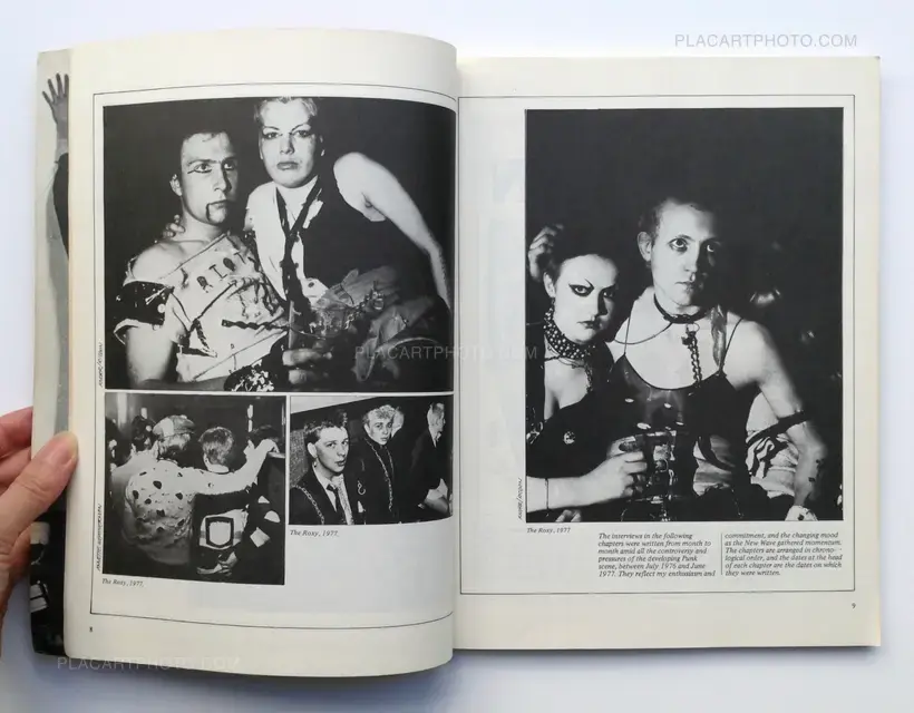 1988 - The New Wave Punk Rock Explosion