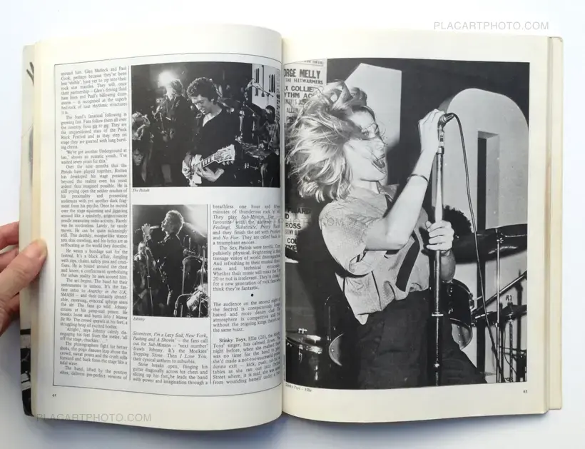 1988 - The New Wave Punk Rock Explosion