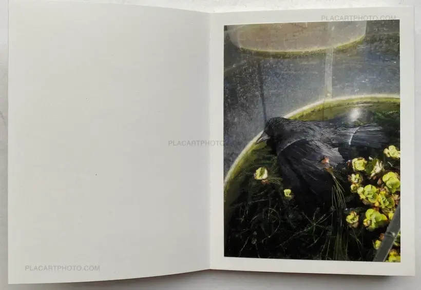 NOTES #2 (SIGNED AND NUMBERED, edt of 3)