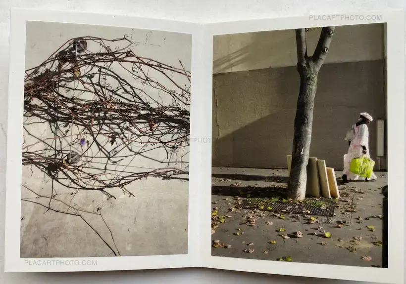 NOTES #2 (SIGNED AND NUMBERED, edt of 3)