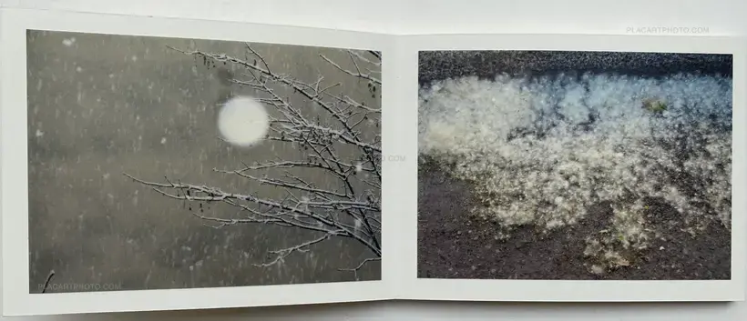 NOTES #1 (SIGNED AND NUMBERED, edt of 3)