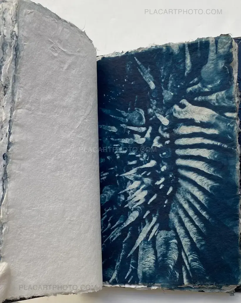 FENDU/E (SIGNED AND NUMBERED, edt of 7)