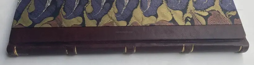 Wild Flowers (UNIQUE and signed)