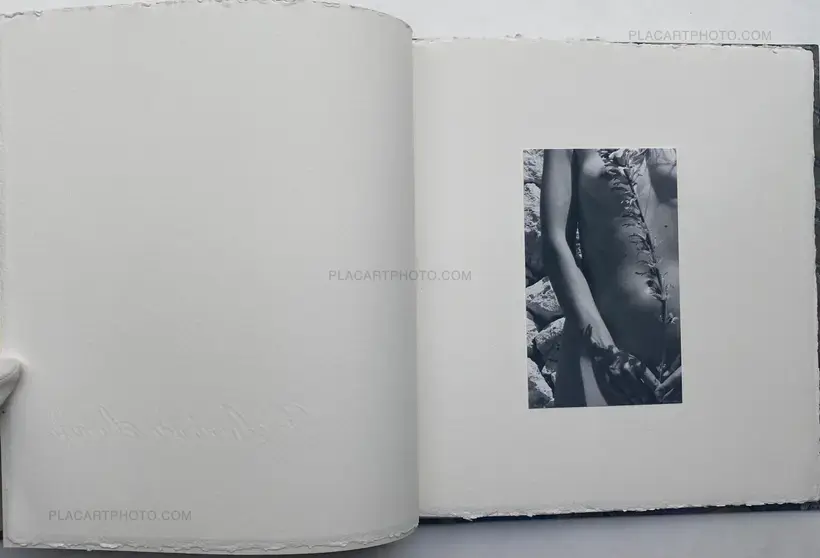 Wild Flowers (UNIQUE and signed)