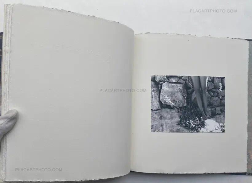 Wild Flowers (UNIQUE and signed)