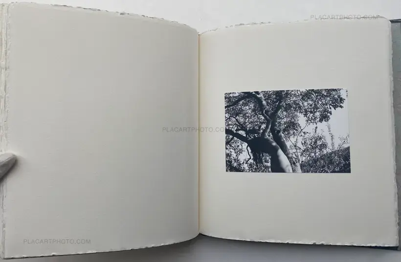 Wild Flowers (UNIQUE and signed)