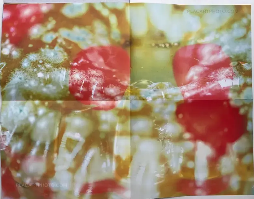 CUMQUAT (SIGNED ONLY 20 COPIES)