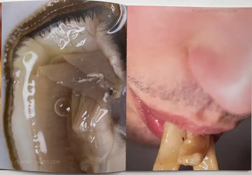 CUMQUAT (SIGNED ONLY 20 COPIES)