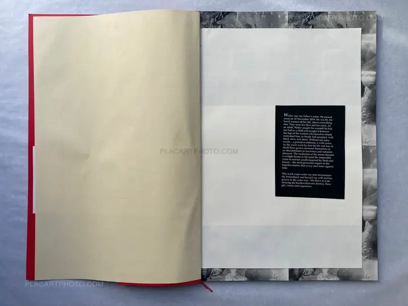 WALLS (SPECIAL EDITION OF 12 LAST ONE)