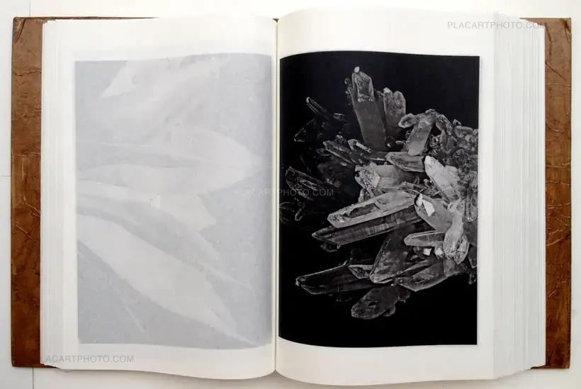 The Lost and find - 500 Visions (Signed)