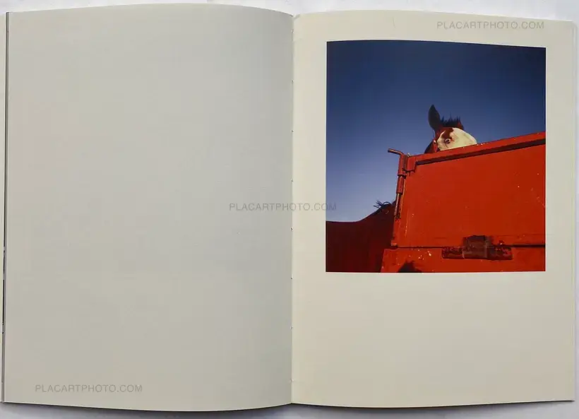 SMAIL (SPECIAL EDITION OF 35)