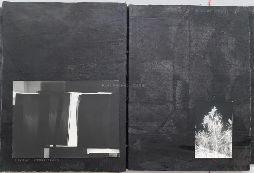 MALIA (SIGNED AND NUMBERED, edt of 3)